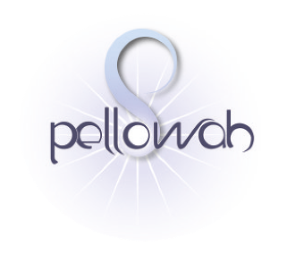 pellowah logo text on a sunburst type shape over gradient blue background